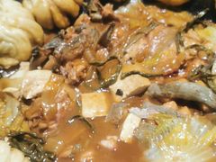 -桃源村铁锅炖鱼(体育馆道店)