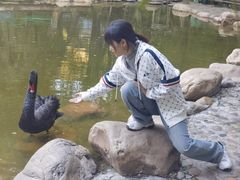 -大鹅岛绿色生态美食园