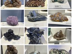 -重庆自然博物馆(新馆)