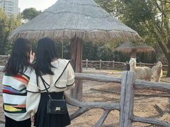 -昆山城市生态森林公园