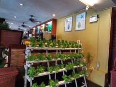 -卷心菜和避孕套餐厅(Pattaya)