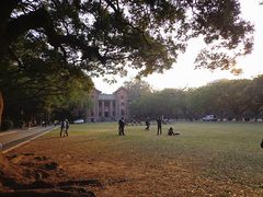 -中山大学学者灵芝(园南路店)