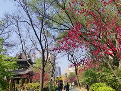 -迎泽公园