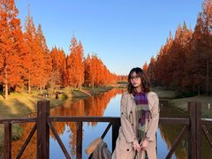 -黄海国家森林公园