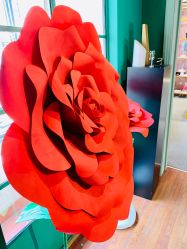 -OOAK设计师品牌概念店(新乐路店)