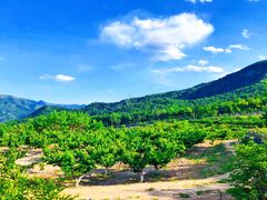 -阳台山自然风景区