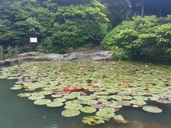 -桃花岛风景旅游区