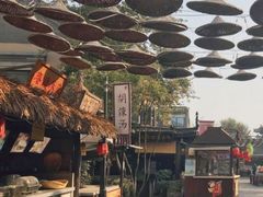 -渡海小渔村.老辈日照菜