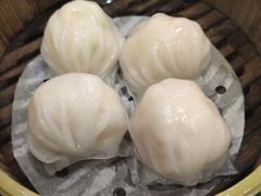 -金碧轩粤菜海鲜大酒楼