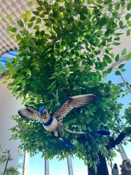 -IMON·HANSA潮玩玩偶毛绒玩具(通州万象汇店)