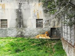 -西安秦岭野生动物园