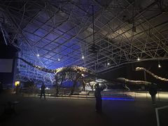 -世界恐龙谷景区