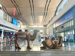 -敦煌莫高国际机场