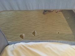 -京津新城温德姆至尊酒店(珠江大道店)