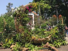 -深圳仙湖植物园
