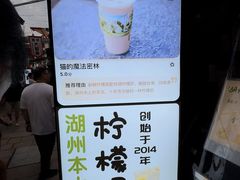 -猫的魔法密林(衣裳街店)