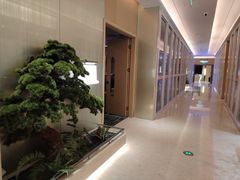 -新美姿美食水疗汇(罗湖口岸店)