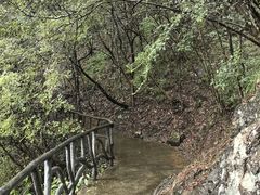 -龙湾潭国家森林公园