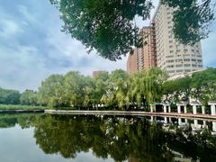 -青城公园