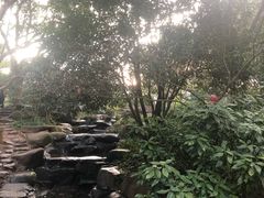 -中国茶叶博物馆(双峰馆区)
