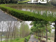 -琅岐红光湖公园