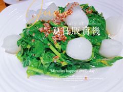 -奉天小馆·非遗东北菜(沈阳万象城店)