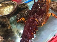 -寻味顺德·南记酒家·传统顺德菜·鱼生(广源路店)