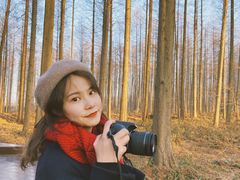 -黄海国家森林公园