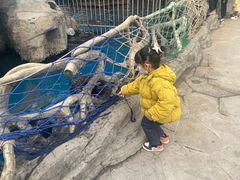 -华夏文旅海洋公园