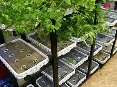 -后宫私房菜(汇客美食娱乐广场店)