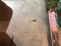 -胡桃里乐队酒馆(广州塔店)