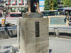 -涩谷全向十字路口