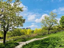 -大望京儿童游乐场