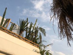-悦哉·派对·草坪婚礼·围炉煮茶(三圣乡店)
