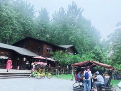 -合肥滨湖国家森林公园