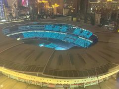 -星城之眼摩天轮