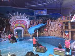 -烟台海昌鲸鲨海洋公园