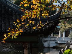 -叶家花园