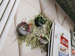 -鱼羊宴烤鱼羊蝎子烧烤(怡馨家园店)