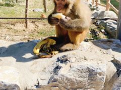 -北京乐谷
