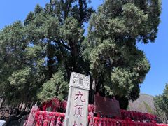-四门塔风景区