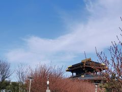 -桃花岛公园