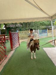 -萌宠亲子动物乐园(槐房万达店)