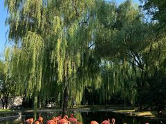 -辛玛王国游乐园