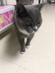 -Pink You美甲美睫纹绣定制中心