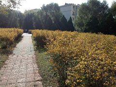 android_upload_pic-辽宁大学(崇山校区)