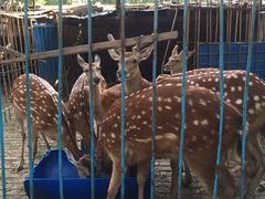 -赛汗塔拉风情园