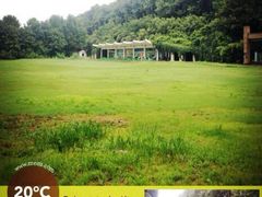 android_upload_pic-河南省黄河迎宾馆