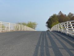 -贡湖湾湿地公园