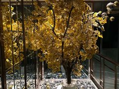 -丽晶大班SPA(大沽店)